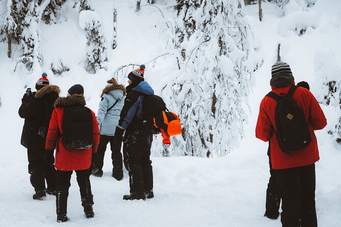 Korouoma Canyon Frozen Waterfalls - Warm Up at the Campfire: Sausages, Hot Drinks, and Finnish Style