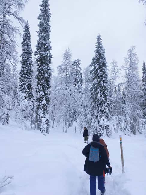 Korouoma Canyon Frozen Waterfalls Hike & Private Teepee BBQ - Korouoma Canyon Frozen Waterfalls and Teepee BBQ: Key Highlights