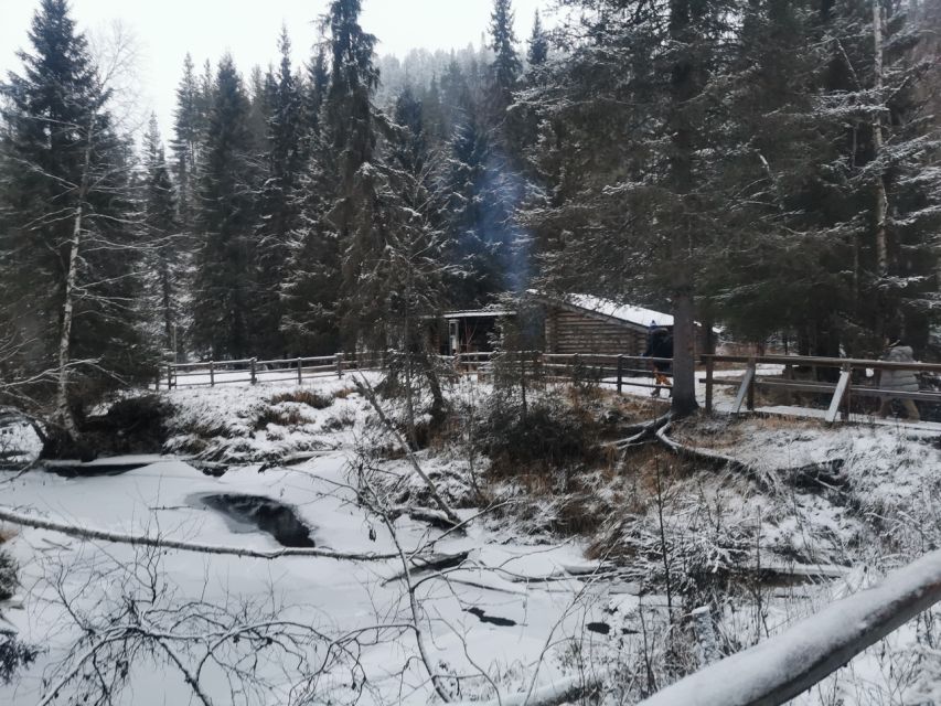 Korouoma Canyon Frozen Waterfalls Hike & Private Teepee BBQ - Why Korouoma Canyon Changes Everything in Winter