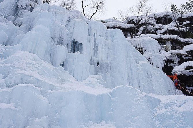 Korouoma National Park & Frozen Waterfalls Adventure - Campfire tea, snacks, and a cozy BBQ break