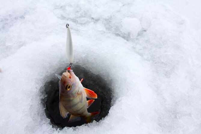 Lapland Ice Fishing Experience from Rovaniemi - Walking Through Arctic Forests Toward the Frozen Lake