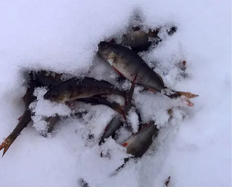 Lapland: Ice Fishing, Floating & BBQ Snow Adventure - Ice Floating Suits: Relaxing, But Plan for Some Cold Water