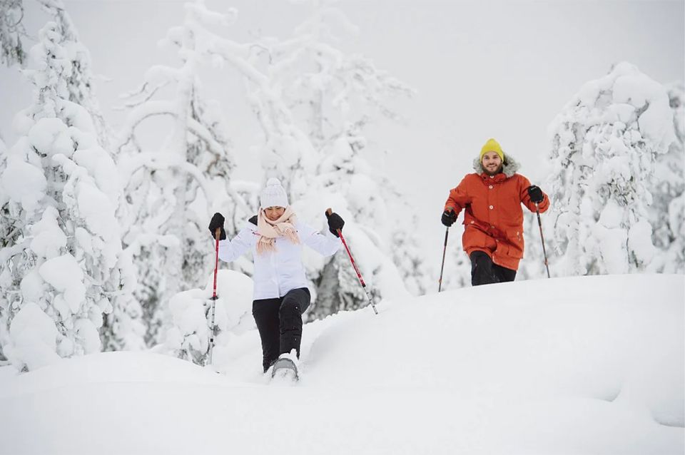 Lapland: Ice Fishing, Floating & BBQ Snow Adventure - Who Should Book This Lapland Adventure (and Who Might Skip)
