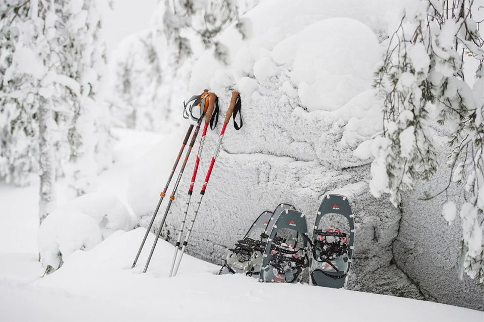 Lapland: Ice Fishing, Floating & BBQ Snow Adventure - Should You Book This Tour?