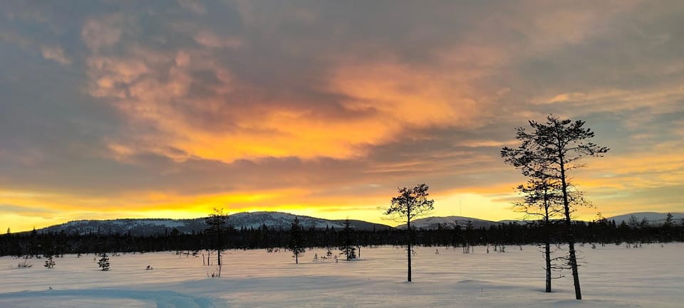 Lapland: Private Snowmobile Safari with arctic Local Guide - Luosto, Pyhä-Luosto National Park, and why this ride feels different