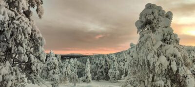 Lapland: Private Snowmobile Safari with arctic Local Guide - How the private setup works (and why the 5-person limit matters)