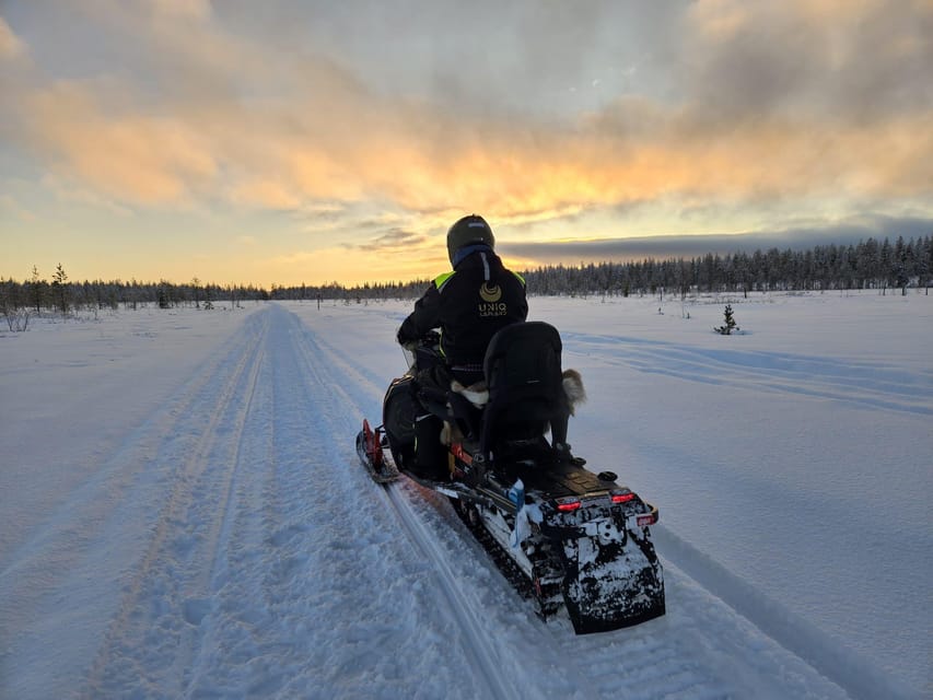 Lapland: Private Snowmobile Safari with arctic Local Guide - Why booking this family-run company feels like better value