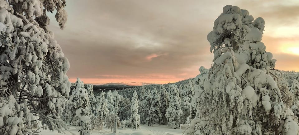 Lapland: Private Snowmobile Safari with arctic Local Guide - How the private setup works (and why the 5-person limit matters)