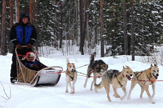 Lapland Reindeer and Husky Safari from Rovaniemi - Cold-Weather Reality: What to Wear (Thermal Gear Isn’t Included)