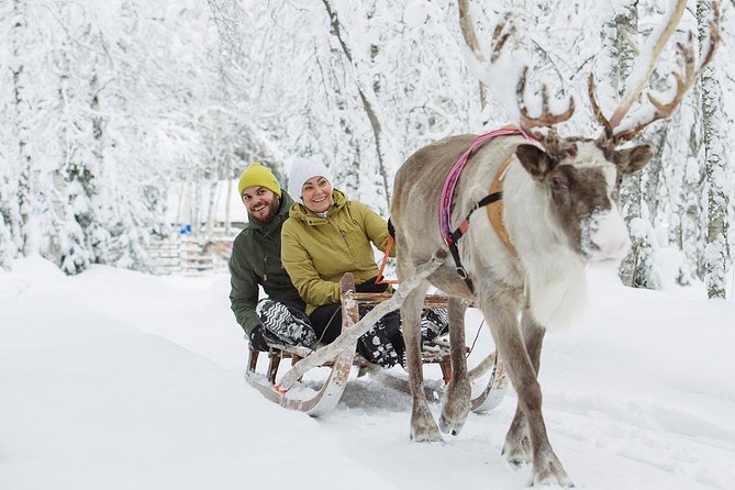 Lapland Reindeer and Husky Safari from Rovaniemi - Groups, Guides, and the Pace: What to Expect When You Arrive