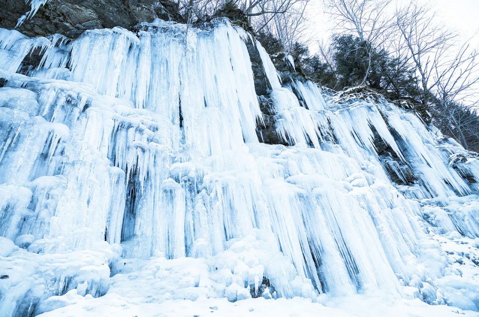 Lapland: The Frozen Waterfalls of Korouoma Tour - Price and value: what $210 for 7.5 hours buys you