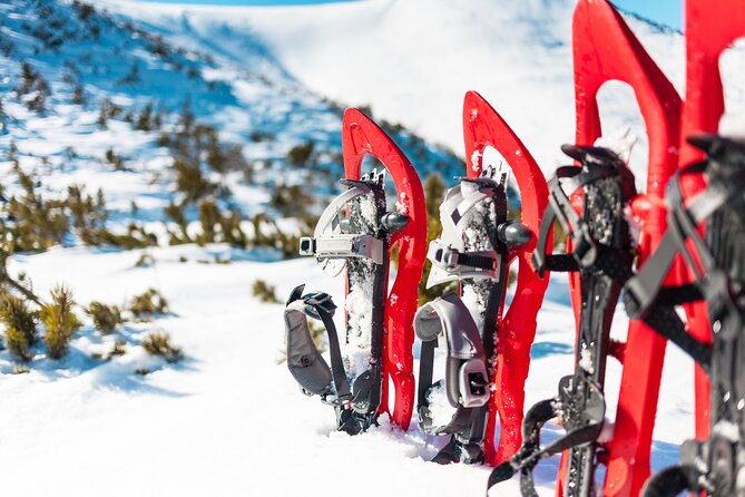 Lapland Winter Experience - Powdery Snow, Real Arctic Walking on Snowshoes