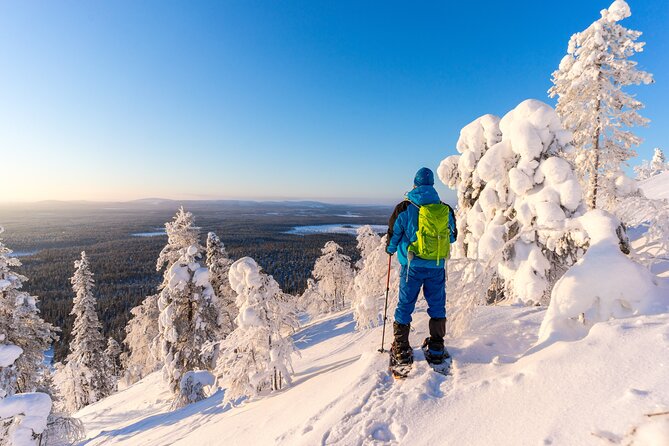 Lapland Winter Experience - Price and Time: Is It Good Value at $119.27?