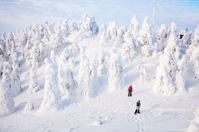 Lapland Winter Experience - Weather Rules: When Winter Changes the Plan