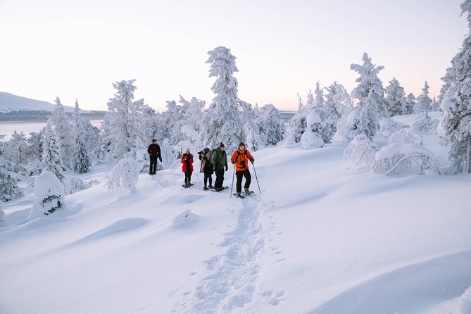 Lapland Winter Experience - The Snowshoe Hike: From Rolling Powder to Deeper Drifts