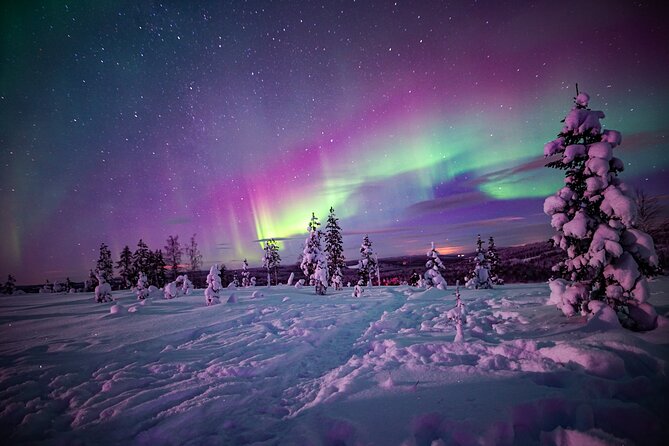 Night Snowshoeing Adventure under the Northern Lights - Key things to know before you go