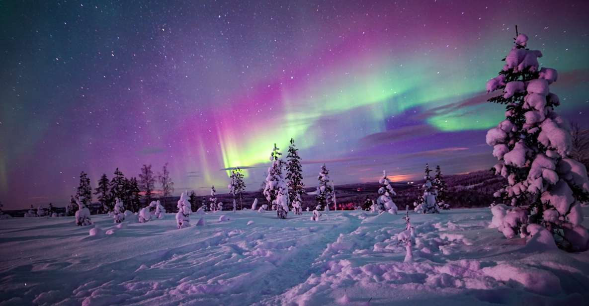 Night Snowshoeing Adventure under the Northern Lights - When the Northern Lights Don’t Show Up