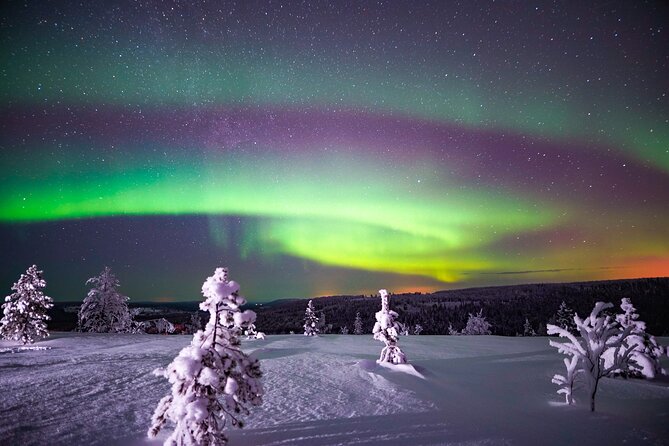 Night Snowshoeing Adventure under the Northern Lights - What This 3-Hour Night Snowshoeing Actually Feels Like