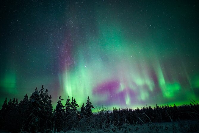 Night Snowshoeing Adventure under the Northern Lights - Logistics From Rovaniemi: Pickup Rules and Real Timing
