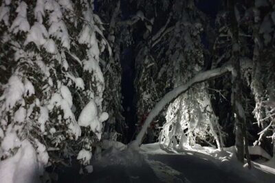 Nocturnal Skiing: Experience the Arctic's Magic - From Meeting Point to Family Cabin: The Start Matters