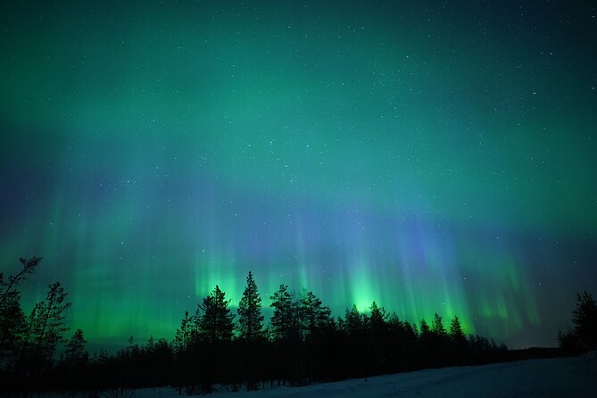 Northern Lights Hunting Photography Tour in Rovaniemi Finland - Key Highlights You’ll Feel During the Hunt