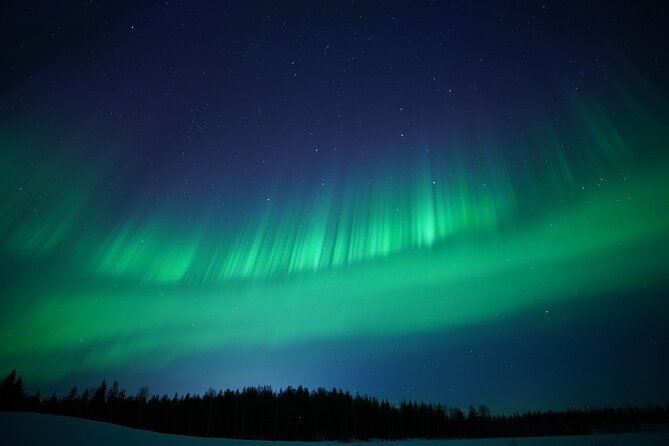 Northern Lights Hunting Photography Tour in Rovaniemi Finland - The Reality of Winter Gear: Stay Warm, Stay Focused