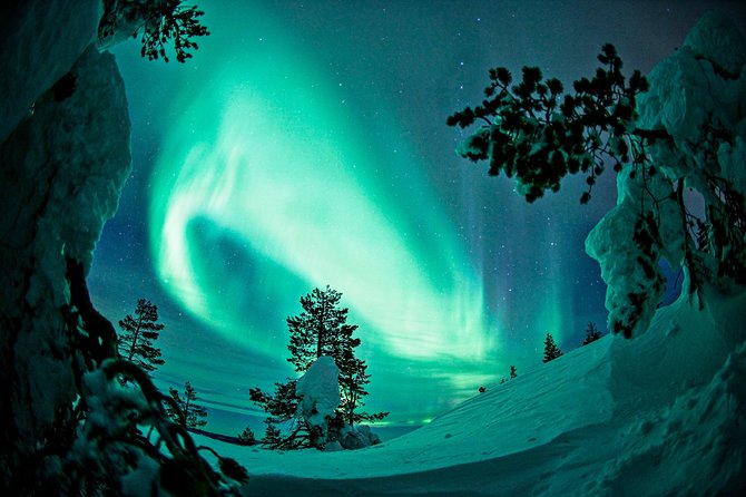 Northern Lights Photography Tour from Rovaniemi - The camera gear question: what to bring for best results