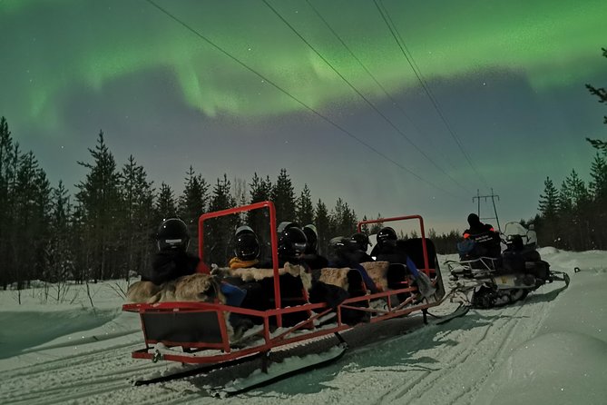 Northern Lights Sledge Ride - Key things to know before you go