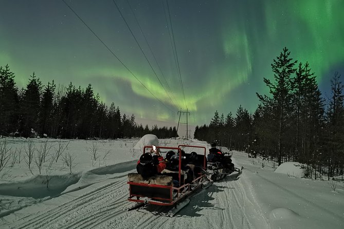 Northern Lights Sledge Ride - Aurora odds: how clear skies and timing shape your night