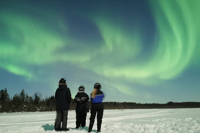 Northern Lights Sledge Ride - Guide style matters: the difference between okay and unforgettable
