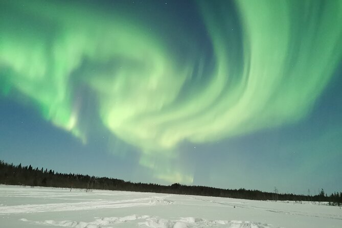 Northern Lights Sledge Ride - Comfort, safety, and the “bumpy reality” check