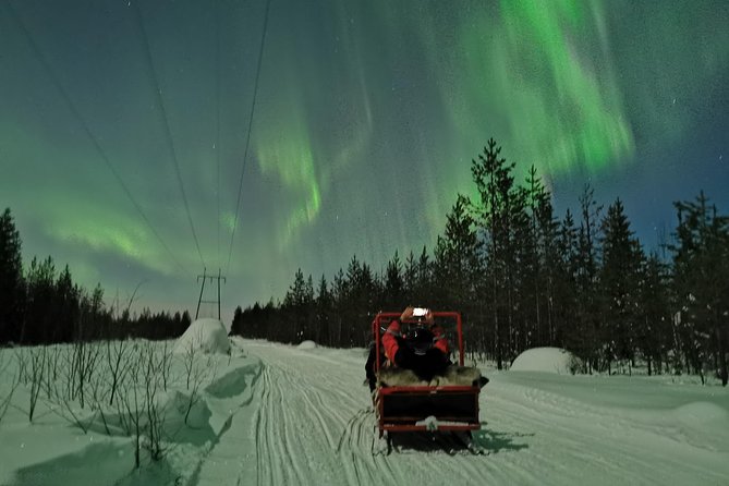 Northern Lights Sledge Ride - Price and value: is $92.52 a fair deal?