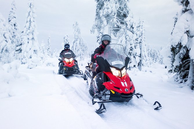 Northern Lights Snowmobile Driving Safari - Warm Snacks, Coffee, and Star Talk: What You Do When the Aurora Plays Hard to Get