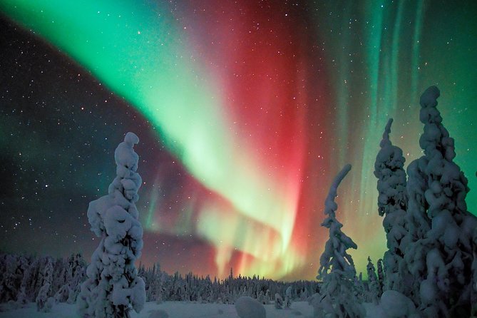 Northern Lights Snowmobile Driving Safari - Price and Value: Is $210 Worth It for Snowmobiles and an Arctic Night?