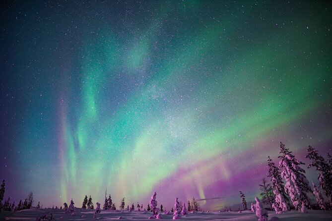 Northern Lights Snowmobile Sledge Ride in Rovaniemi - Key Highlights You’ll Actually Care About