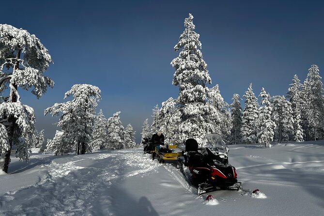Northern Lights Tour Snowmobile Driving - The 7:00 pm Timing and the Real Rhythm of the Night