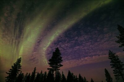 Northern Lights Tour with BBQ and drinks - The minivan ride: trading city lights for real sky time