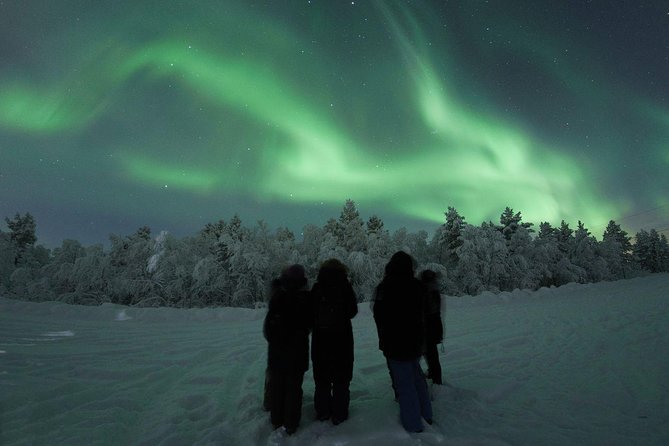Northern Lights Tour with BBQ and drinks - The aurora hunt: what to expect in a 3-hour window