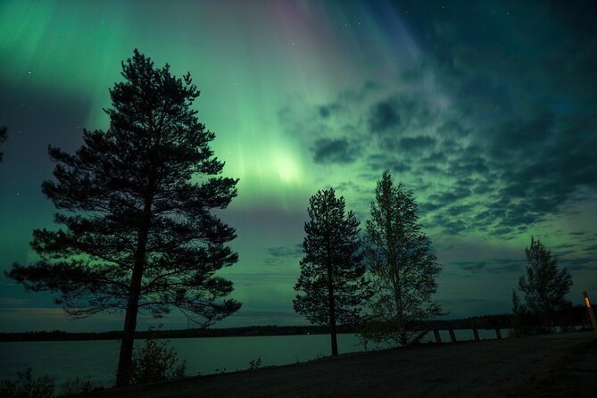 Northern Lights Tour with BBQ and drinks - Guide impact: what makes the night feel organized (and fun)