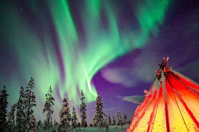 Northern Lights Wilderness Small-Group Tour from Rovaniemi - Key Takeaways Before You Go