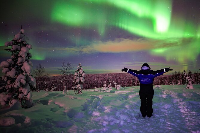 Northern Lights Wilderness Small-Group Tour from Rovaniemi - Small-Group Comfort: Max 8 People, Private Vehicle, Real Attention