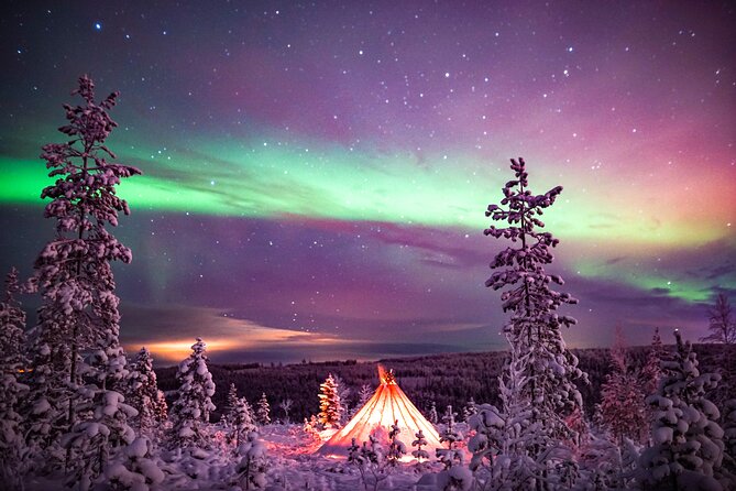 Northern Lights Wilderness Small-Group Tour from Rovaniemi - Pro Photos Without the Camera Panic (And a Fair Warning)