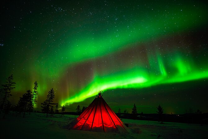Northern Lights Wilderness Small-Group Tour from Rovaniemi - Who Should Book This Tour (And Who Might Want Something Else)