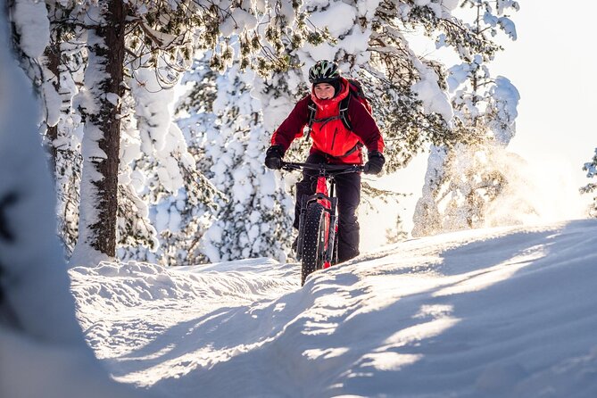 Private Electric Fat Bike Winter Tour in Rovaniemi - Safety and comfort: gear is included, but your mindset still matters