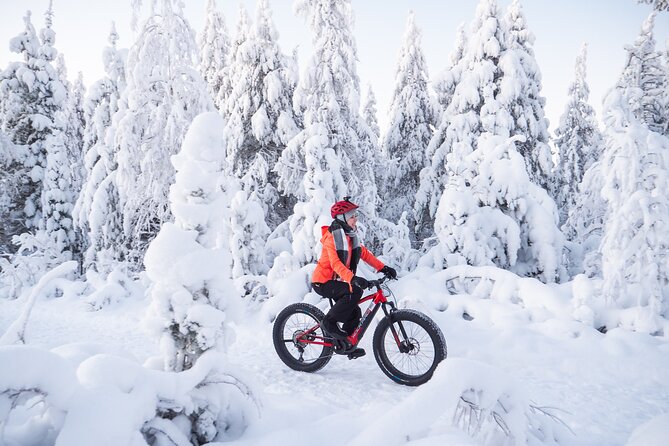 Private Electric Fat Bike Winter Tour in Rovaniemi - From Rovaniemi to Kemijoki: a quick city-to-trail warmup