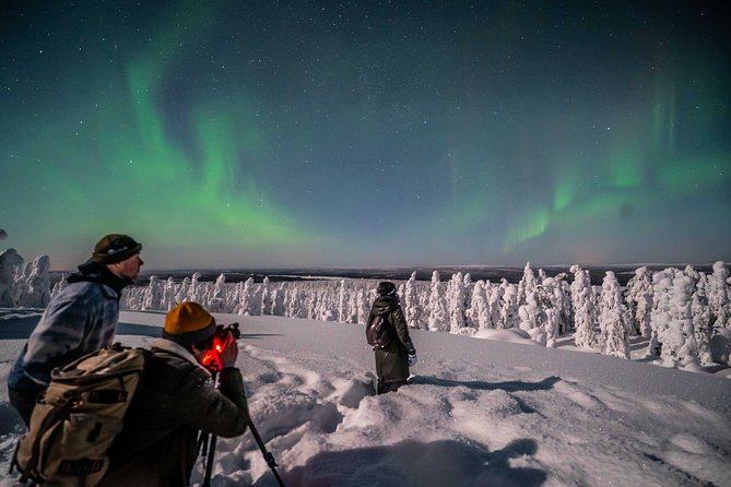 Private Northern Lights photography tour in Rovaniemi - How your 4–5 hours usually flows in the field