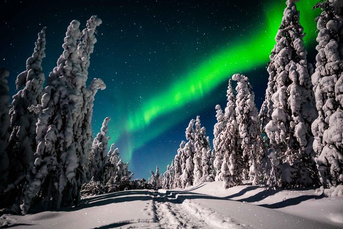 Private Northern Lights photography tour in Rovaniemi - Price and value: what $868.91 covers for up to 4