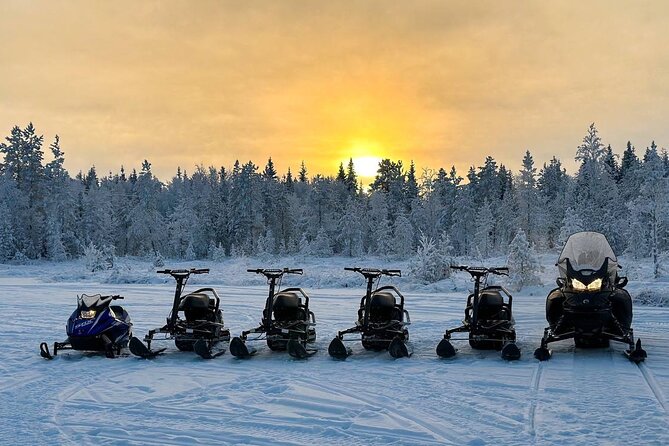 PRIVATE Party dinner in a Glass Igloo Under Northern Lights - Northern Lights Hunt on Snow Scooters: What the Ride Really Means