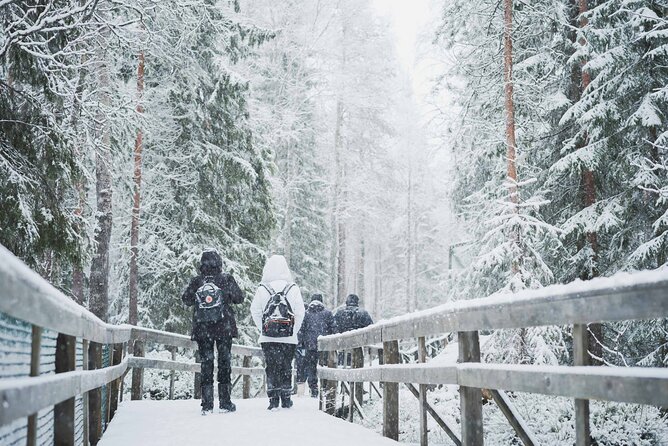Ranua Wildlife Park Day: Visit the Arctic Animals - Inside the park: guided tour time plus a snowy forest walk