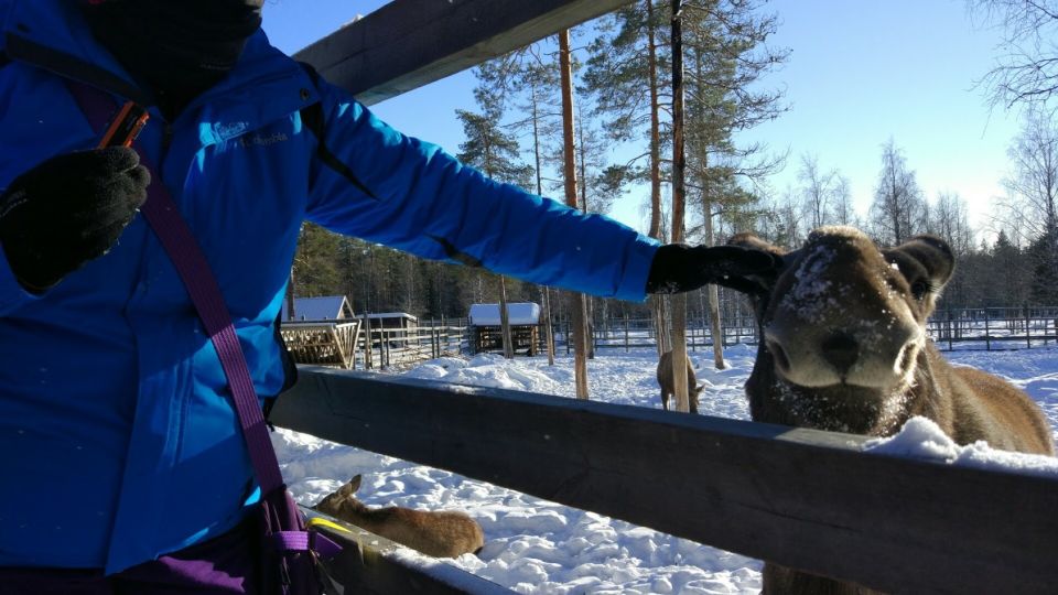 Ranua Wildlife Park Guided Tour from Rovaniemi - Coffee break, restaurant time, and Fazer sweets